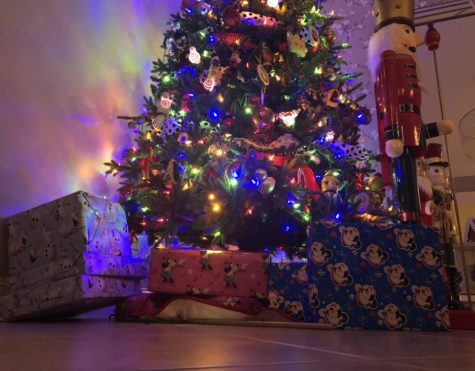 Christmas gifts under the tree. Photo by EP Presnell.