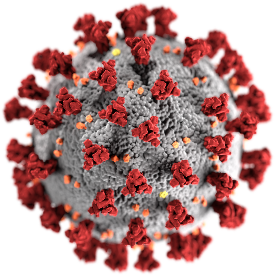 A representation of a microbe of Covid-19, the virus shaking up the planet.