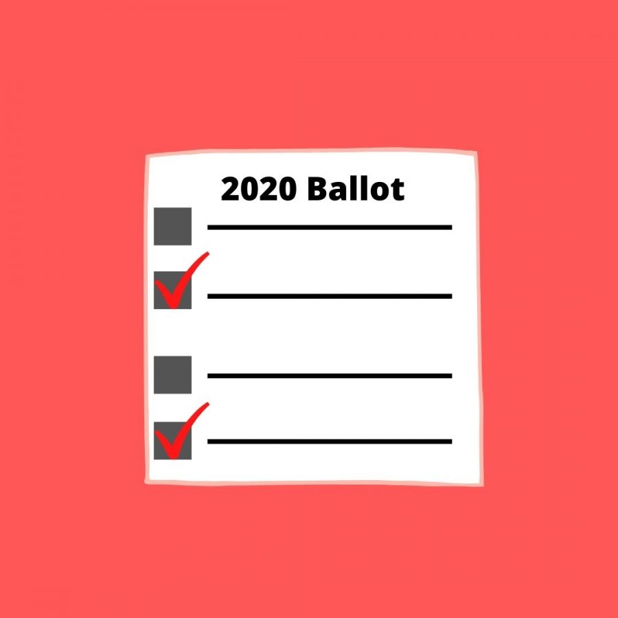 Animation of mock voting ballot created by Aliyah Lang
