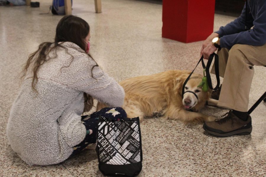 A students crouches down to pet one of the dogs. Photo by Macy Waddle.