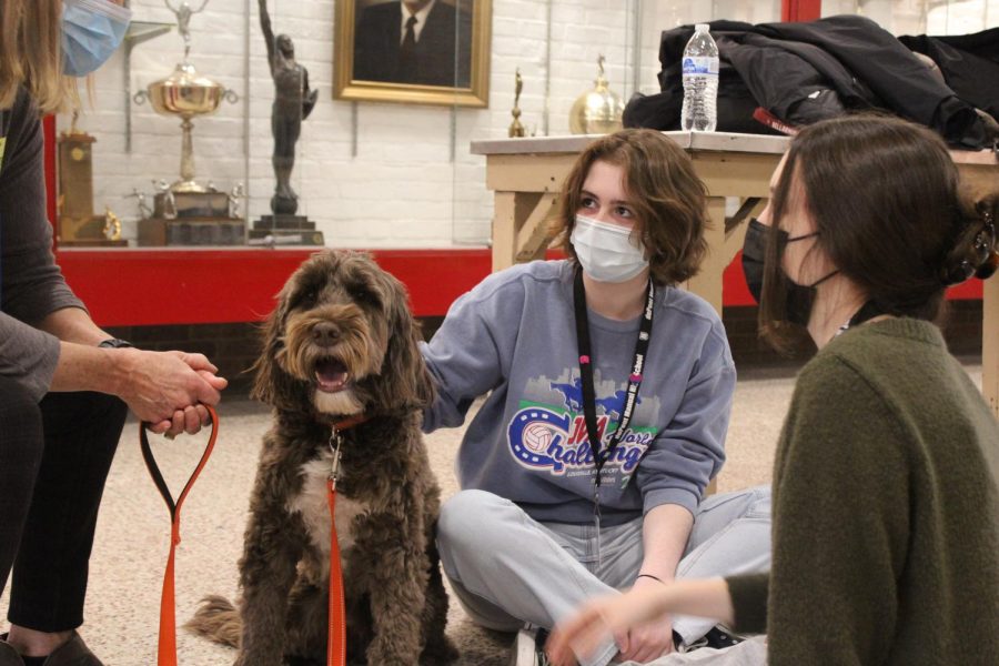 Each dog came with an adult who talked with the students about both their lives and the dogs. Photo by Macy Waddle.