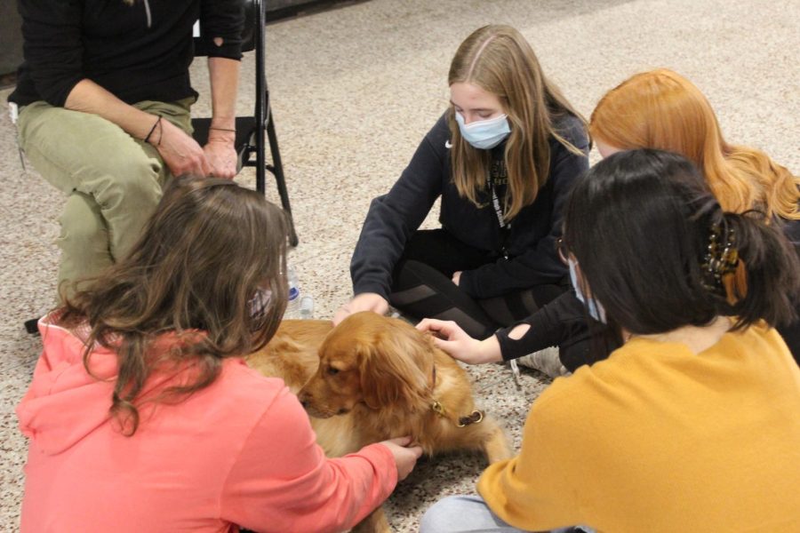 Students crowd to pet one of the dogs. Photo by Macy Waddle.