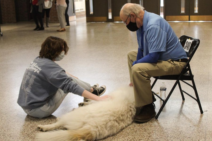Gracie Tomes (10, VA) talks with one of the dogs owners. Photo by Macy Waddle.
