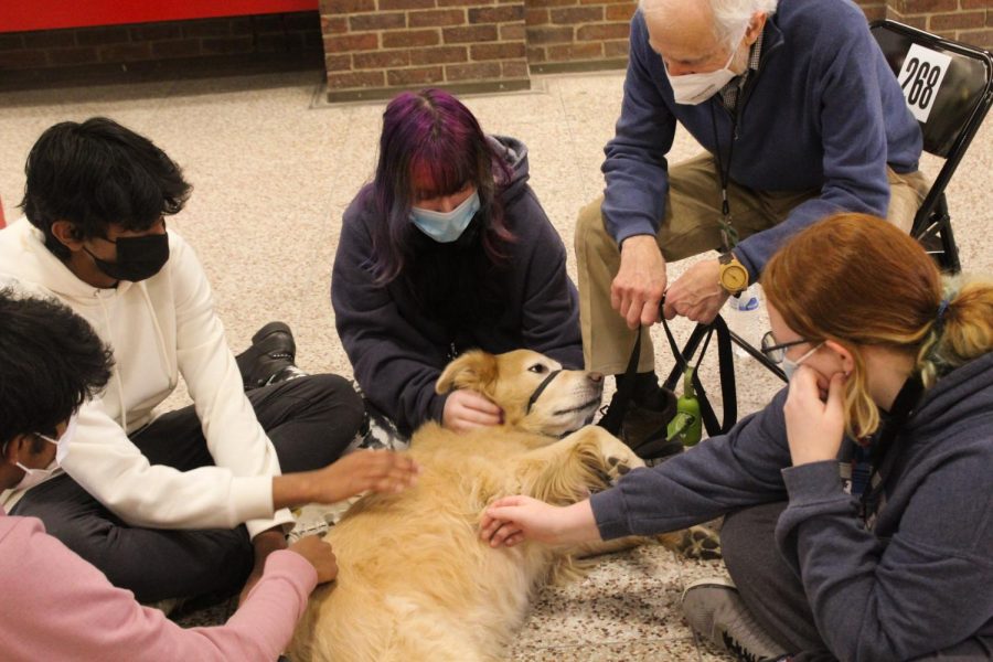 One of the dogs relaxes as four students pet him. Photo by Macy Waddle.