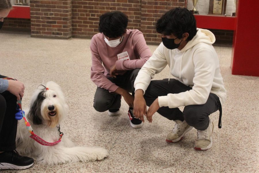 Students crouch down to pet one of the dogs. Photo by Macy Waddle.