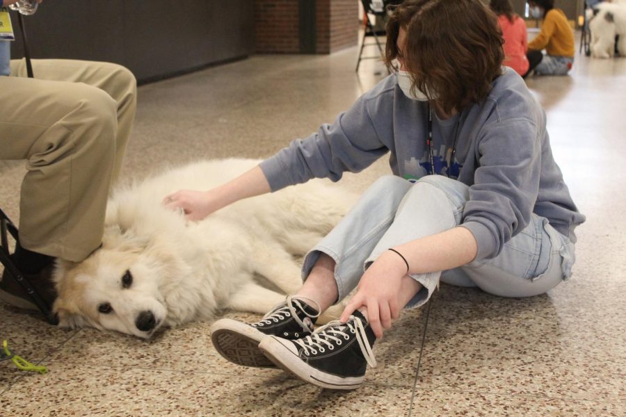 Gracie Tomes (10, VA) rubs one of the dogs. Photo by Macy Waddle.