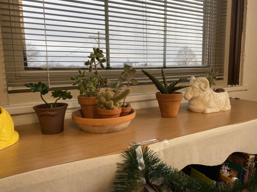 Plants adorn the window sills and brighten the atmosphere. In past years, students have been able to take home plantlings in the spring. 