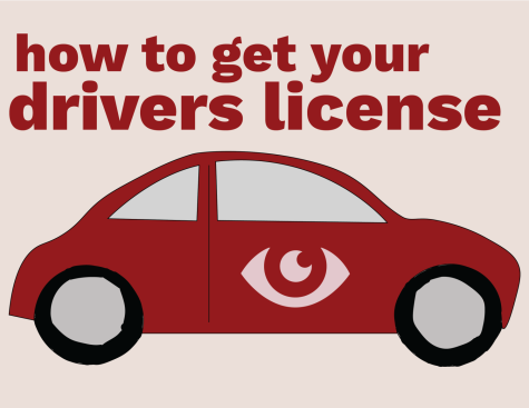 Passing your drivers test: the need to knows