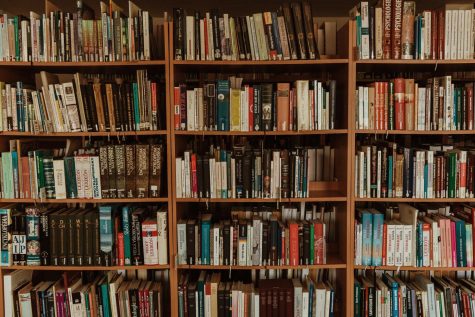 Many school libraries such as this often lack diversity among their representation of characters. Photo by Trnava University on Unsplash.