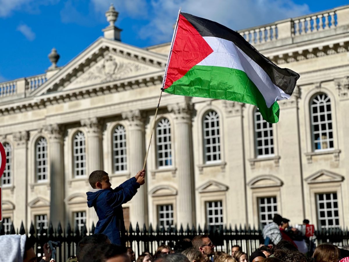 A young boy waves the flag of Palestine at a protest. 
