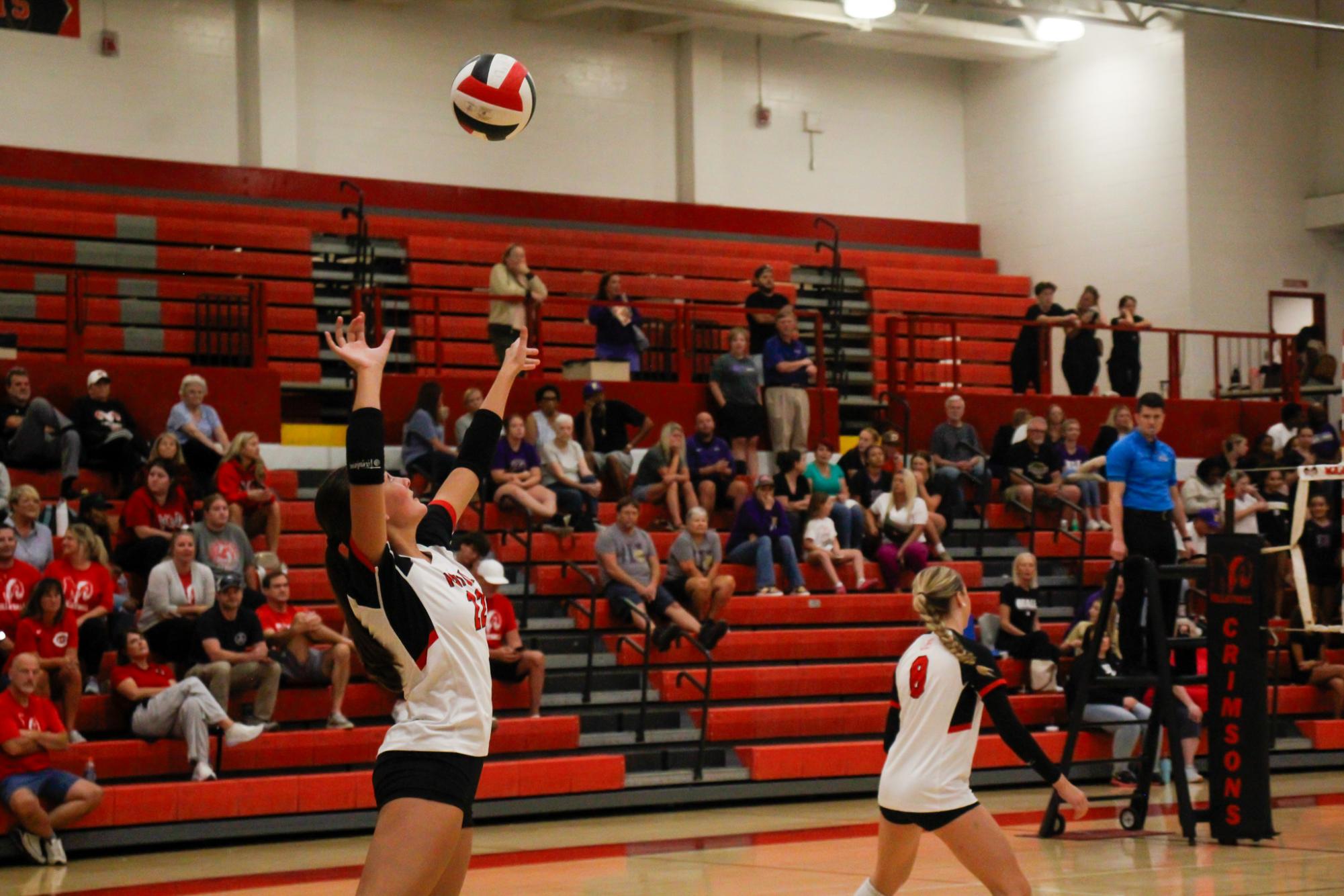 Abby Gentner (#22, 12) serves the ball. Photo by Abigail Coty