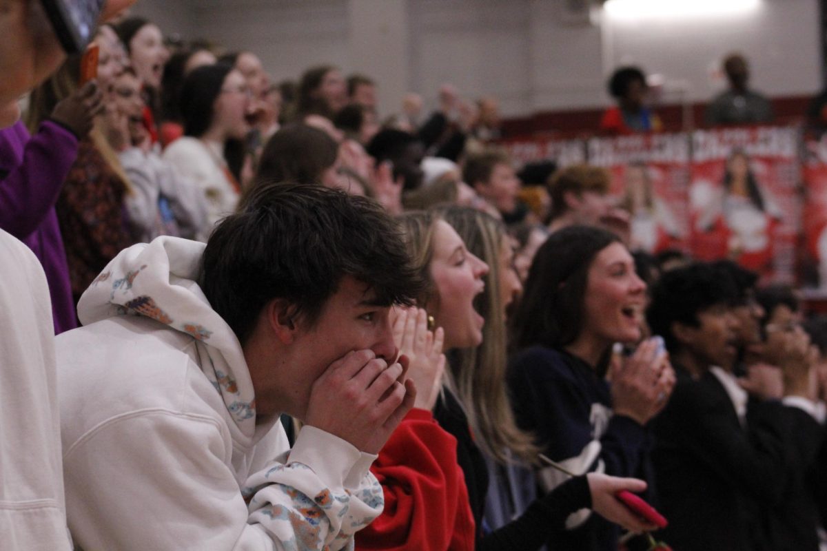 Members of the senior class cheer during the pep rally.